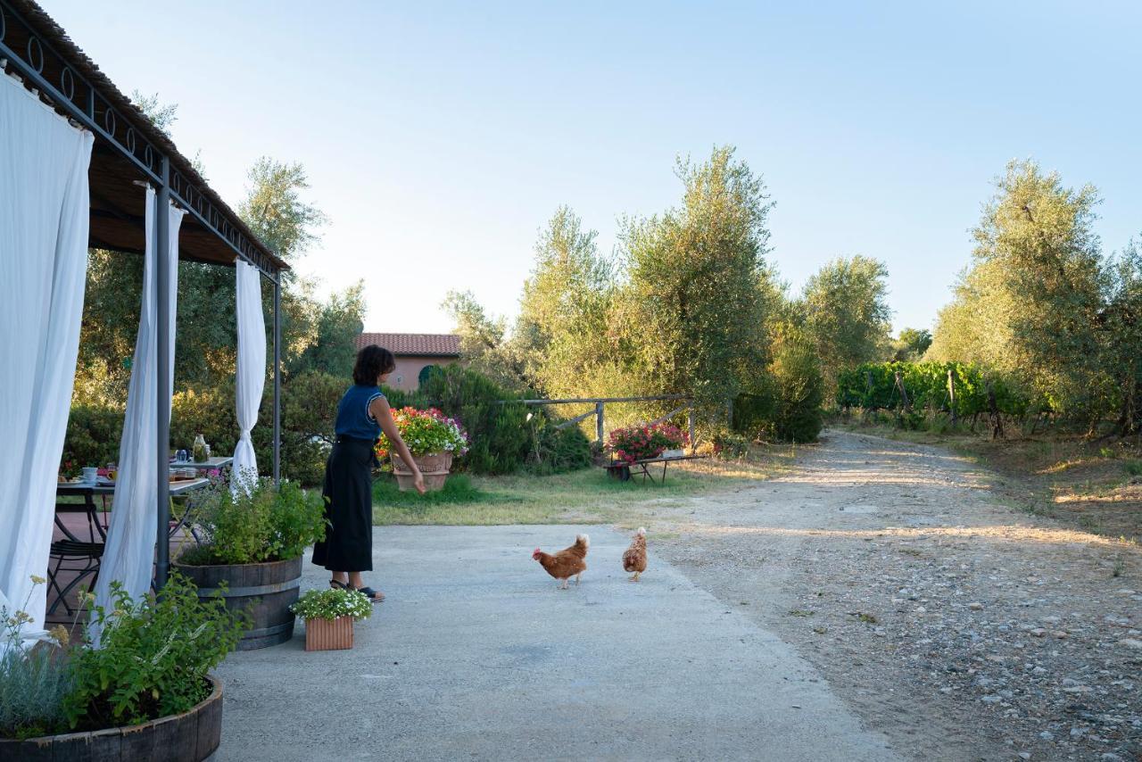 Agriturismo Tra Gli Ulivi, Chiappini Winery Bolgheri Exterior photo