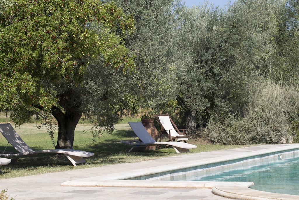 Agriturismo Tra Gli Ulivi, Chiappini Winery Bolgheri Exterior photo